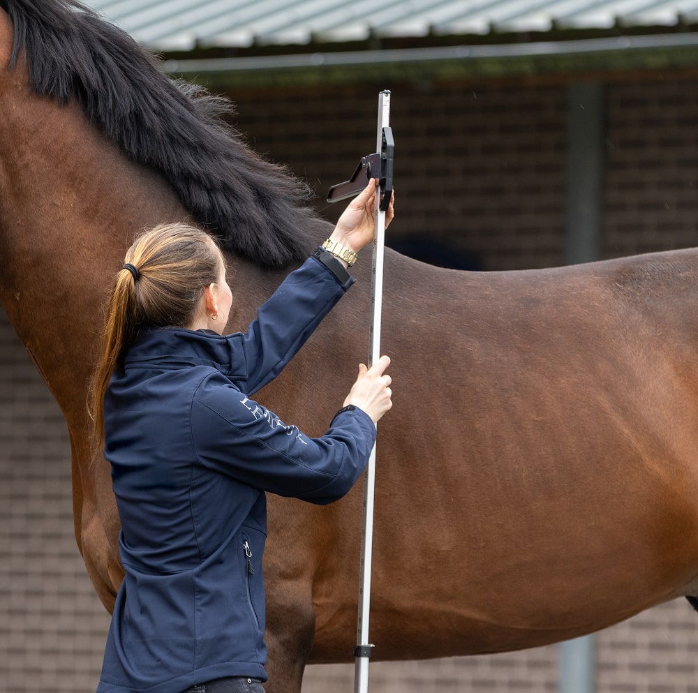 Juridische geschillen