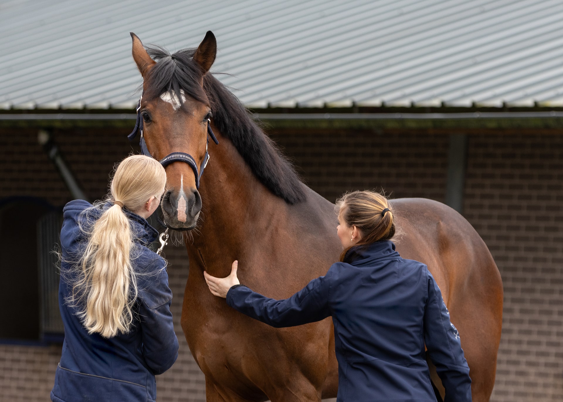 Fiscaal / Bedrijfsmatig